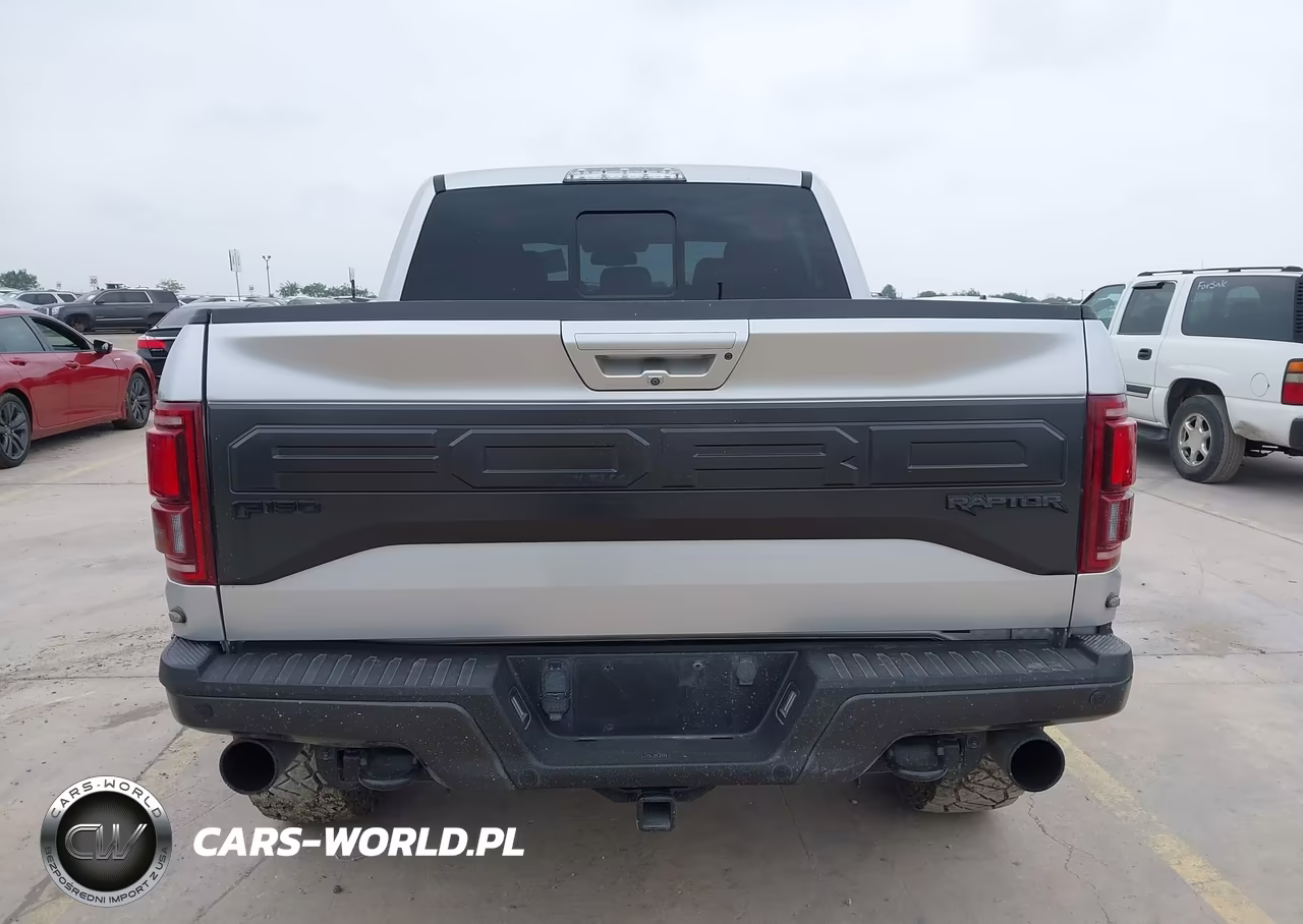 2017 Ford F-150 Raptor VIN:1FTFW1RG8HFC50397 - 17