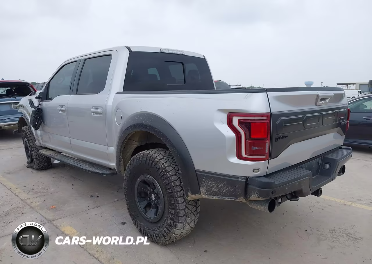 2017 Ford F-150 Raptor VIN:1FTFW1RG8HFC50397 - 3