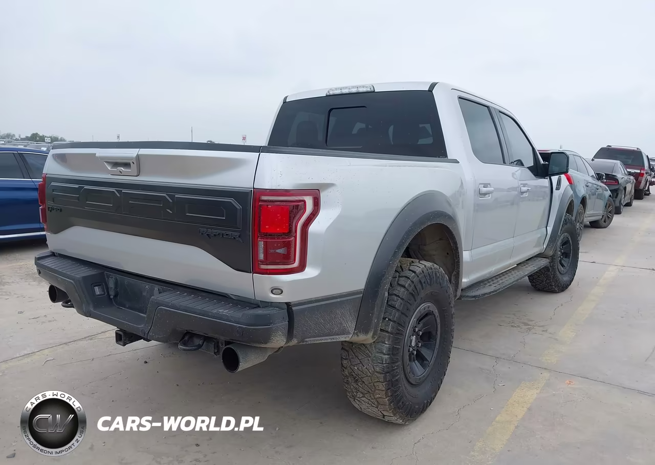 2017 Ford F-150 Raptor VIN:1FTFW1RG8HFC50397 - 4