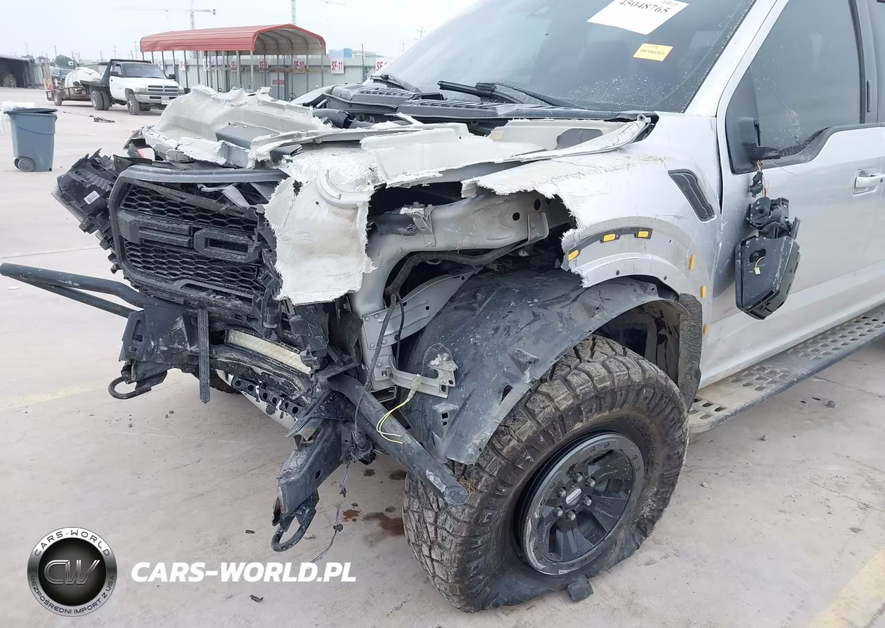 2017 Ford F-150 Raptor VIN:1FTFW1RG8HFC50397 - 6