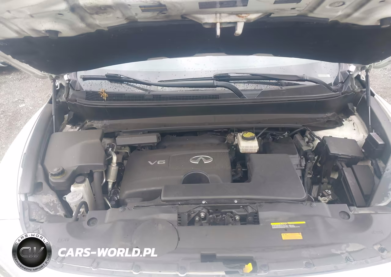 2019 Infiniti Qx60 Luxe VIN:5N1DL0MMXKC569800 - 10