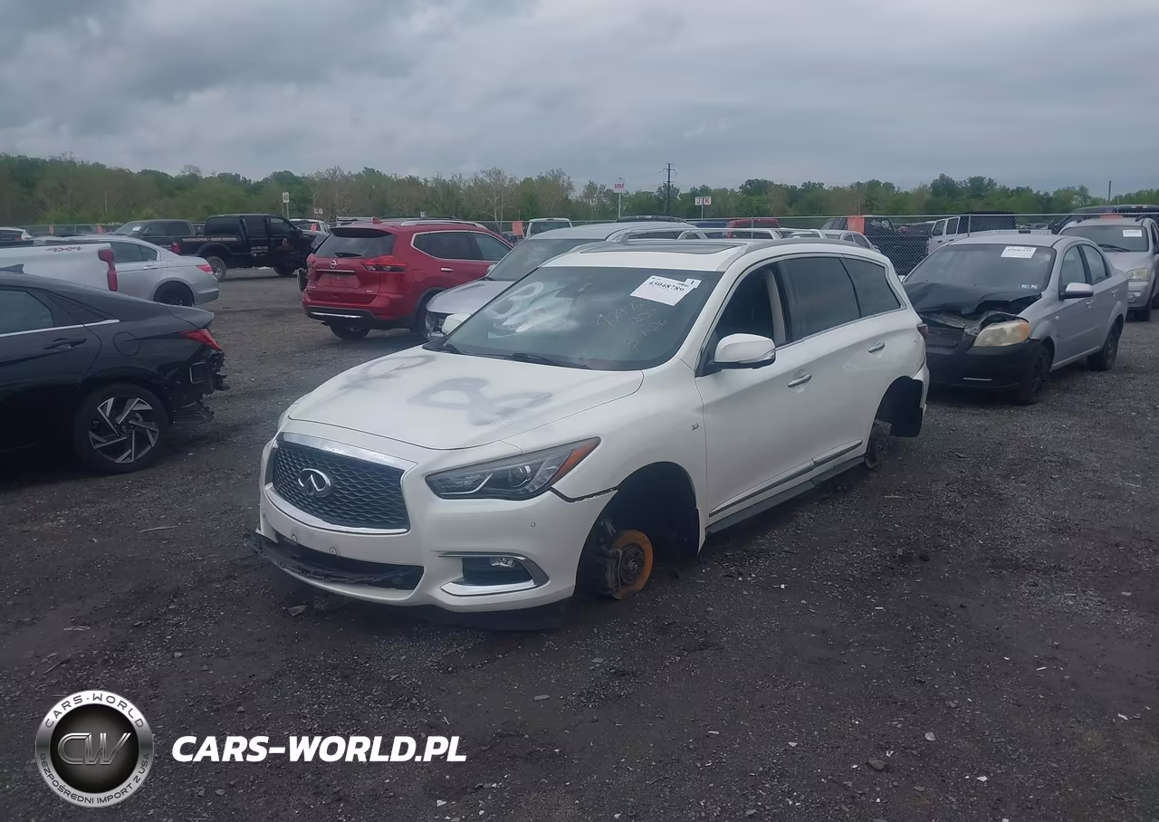 2019 Infiniti Qx60 Luxe VIN:5N1DL0MMXKC569800 - 2