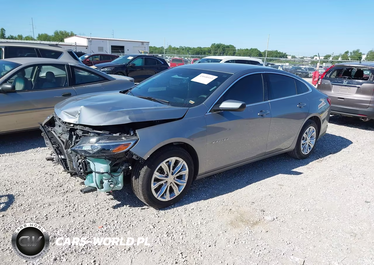 2024 Chevrolet Malibu Fwd 1Lt VIN:1G1ZD5ST1RF247899 - 2
