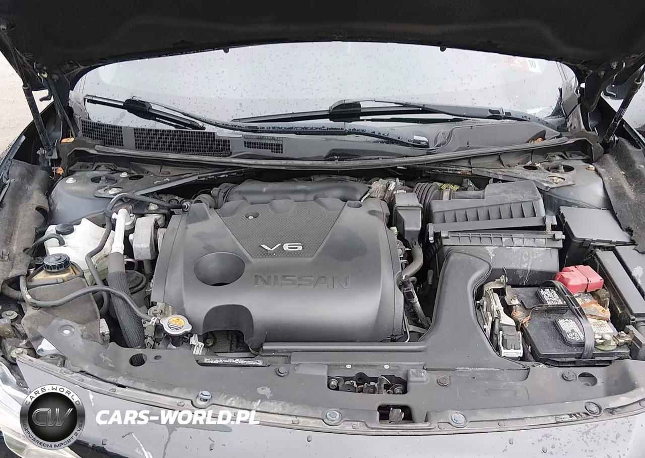 2017 Nissan Maxima 3.5 Sl VIN:1N4AA6APXHC447449 - 10