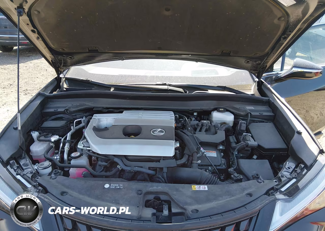 2023 Lexus Ux 250H VIN:JTHX9JBH3P2063829 - 10