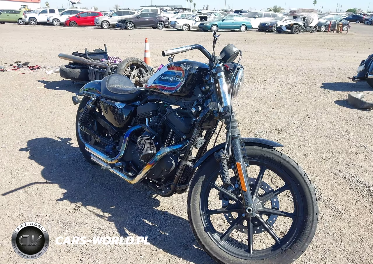 2020 Harley-Davidson Xl1200 Ns