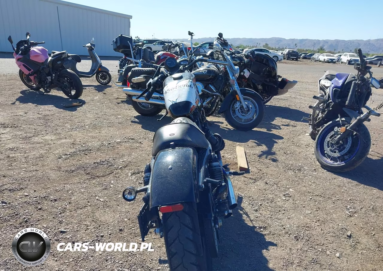 2020 Harley-Davidson Xl1200 Ns VIN:1HD1LP319LB428570 - 6