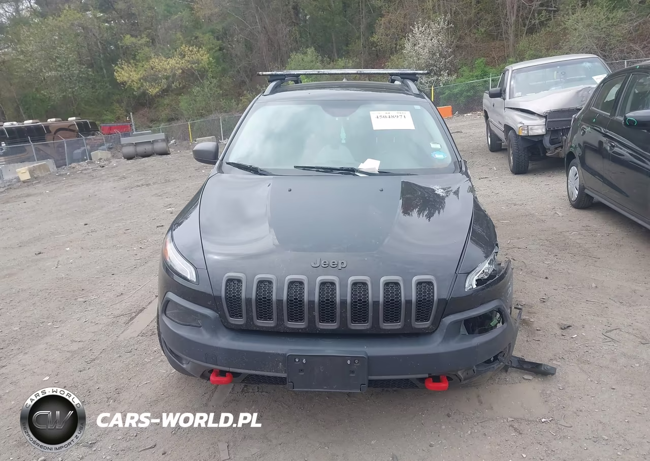2016 Jeep Cherokee Trailhawk VIN:1C4PJMBS9GW299853 - 12