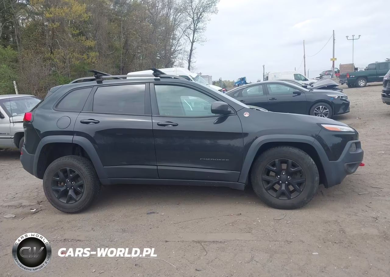 2016 Jeep Cherokee Trailhawk VIN:1C4PJMBS9GW299853 - 13