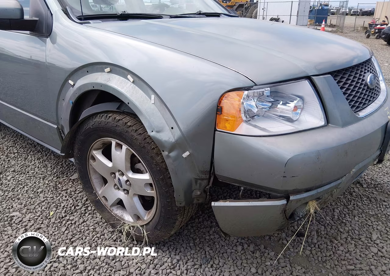 2006 Ford Freestyle Limited VIN:1FMDK06176GA02836 - 6