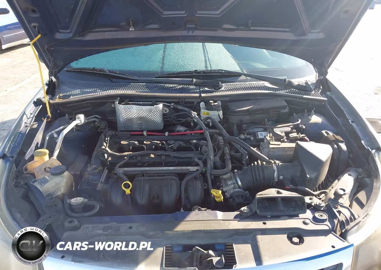 2009 Ford Focus Ses VIN:1FAHP36N89W217590 - 10