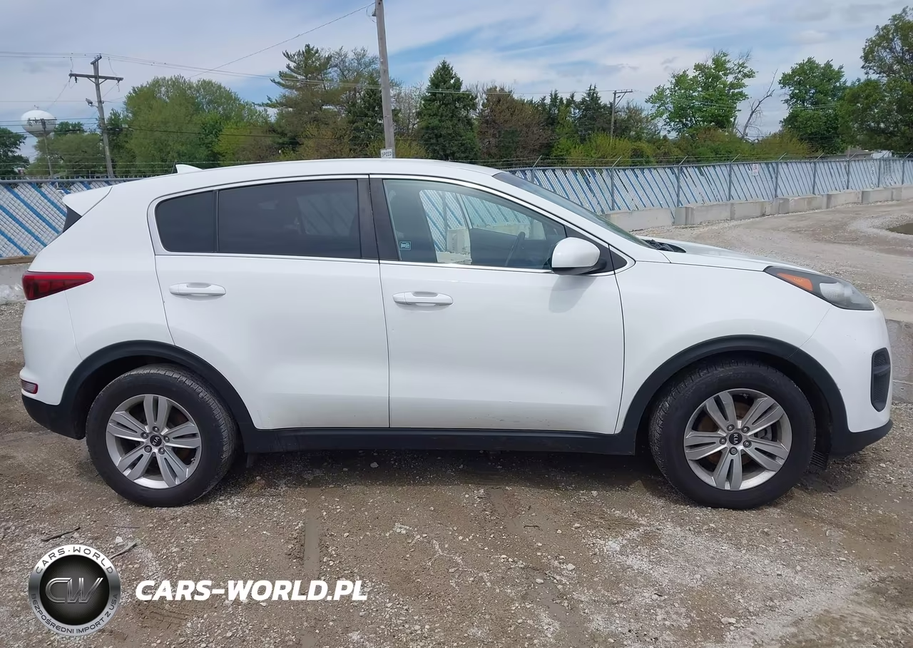 2019 Kia Sportage Lx VIN:KNDPM3AC3K7507272 - 12