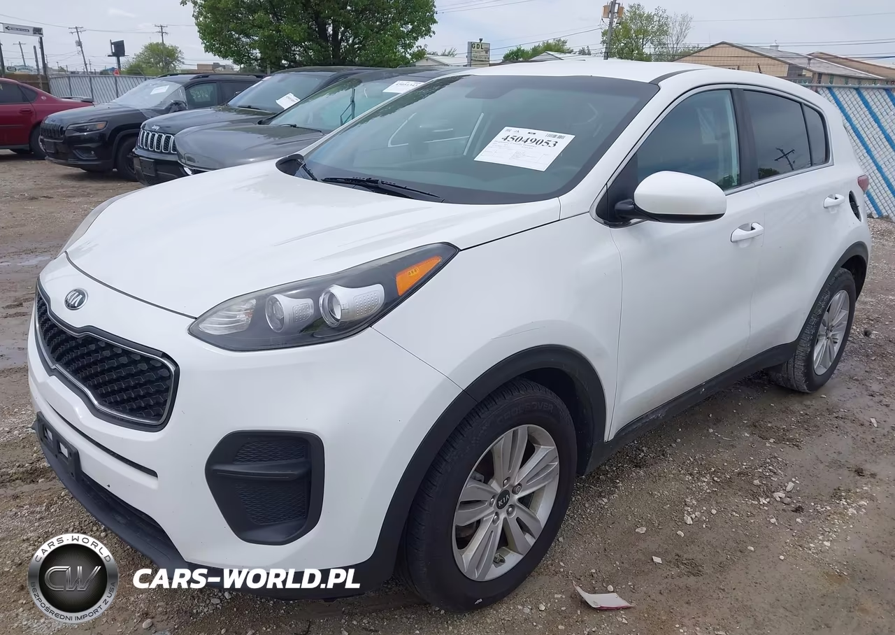 2019 Kia Sportage Lx VIN:KNDPM3AC3K7507272 - 2