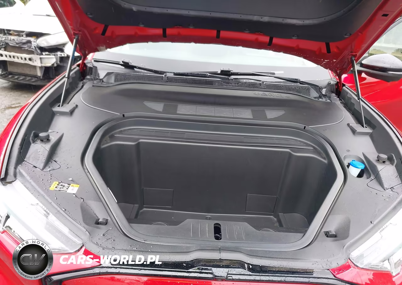 2021 Ford Mustang Mach-E Premium VIN:3FMTK3SS4MMA55749 - 10