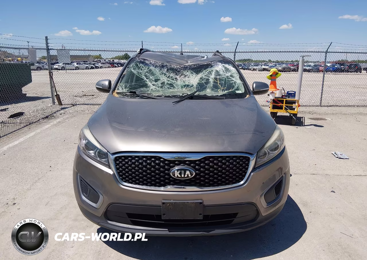 2017 Kia Sorento 3.3L Lx VIN:5XYPGDA5XHG199253 - 12