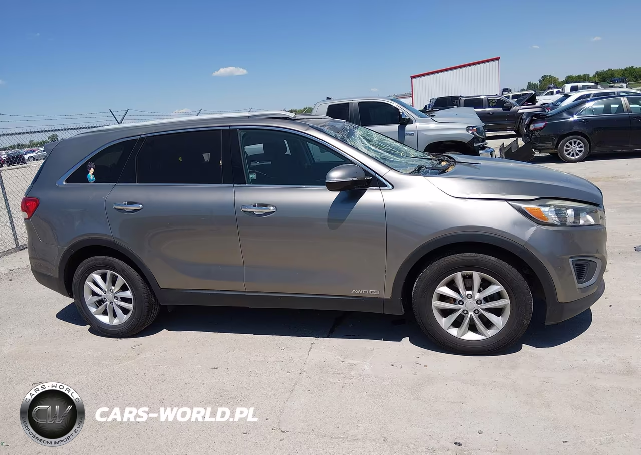 2017 Kia Sorento 3.3L Lx VIN:5XYPGDA5XHG199253 - 13