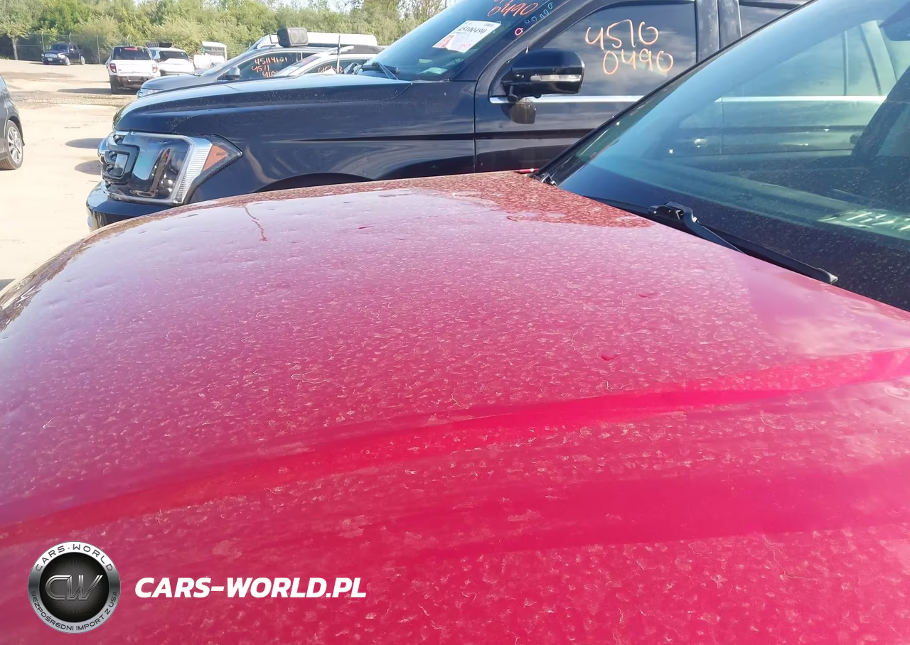 2024 Hyundai Santa Fe Calligraphy VIN:5NMP5DGLXRH058489 - 6