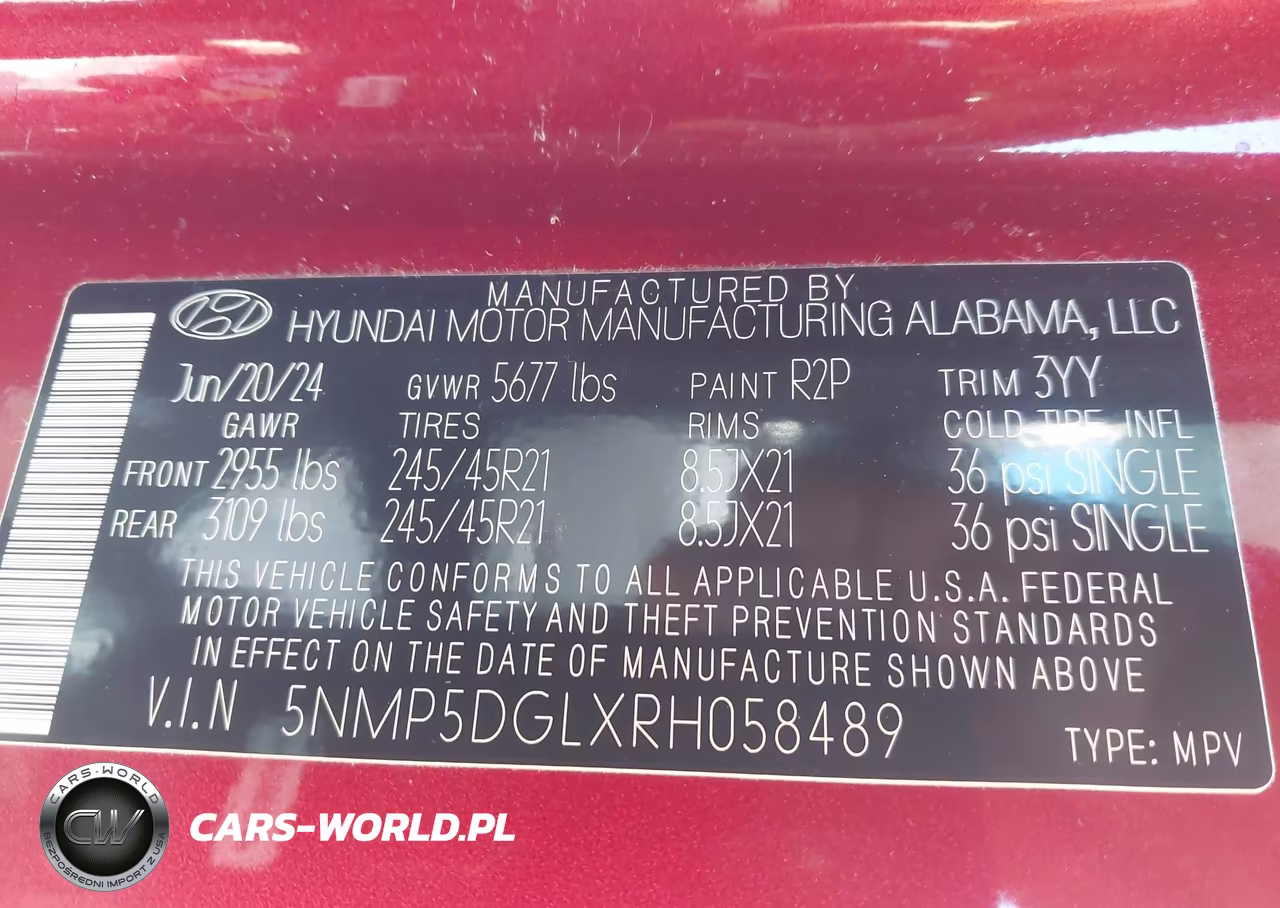2024 Hyundai Santa Fe Calligraphy VIN:5NMP5DGLXRH058489 - 9