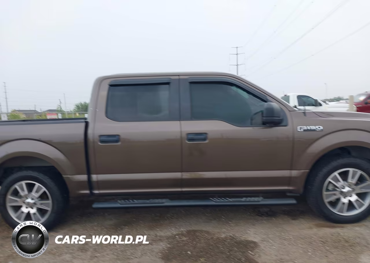 2015 Ford F-150 Xlt VIN:1FTEW1C80FKD12764 - 13