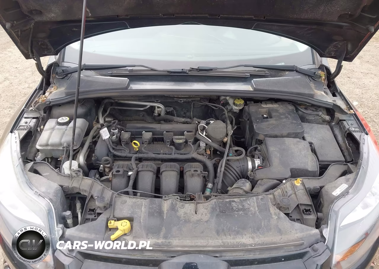 2012 Ford Focus Titanium VIN:1FAHP3N21CL299081 - 10