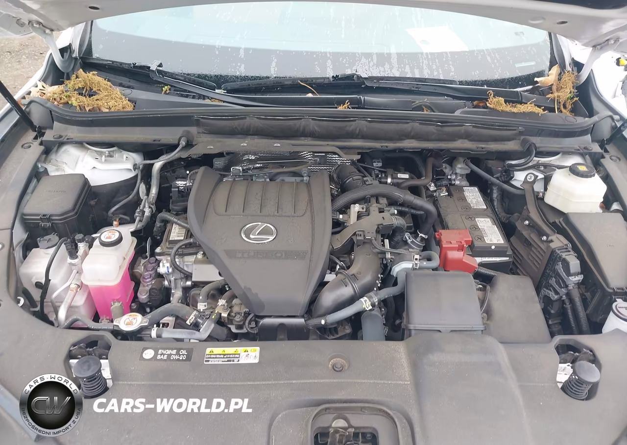 2024 Lexus Rx 350 Premium VIN:2T2BAMCA3RC039567 - 10