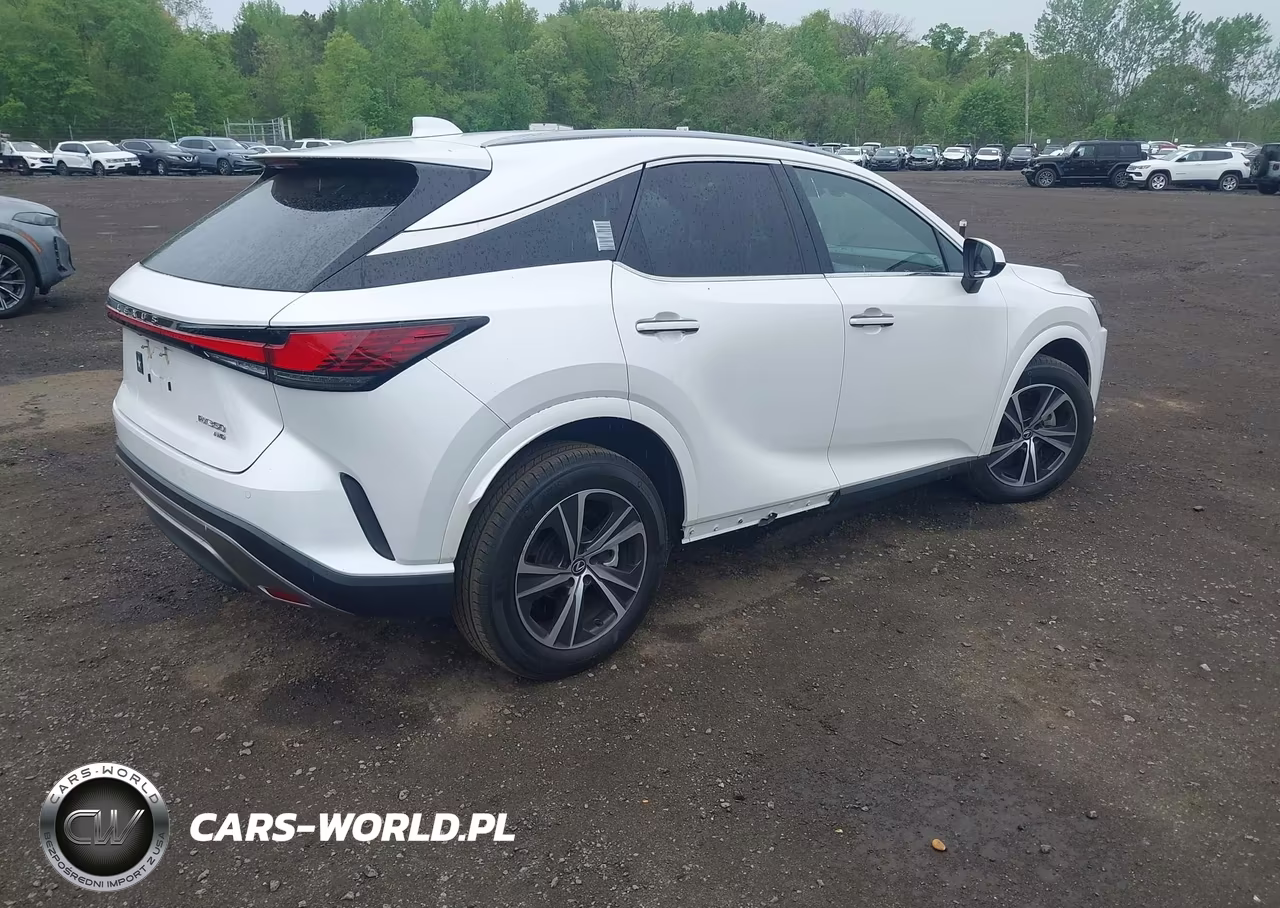 2024 Lexus Rx 350 Premium VIN:2T2BAMCA3RC039567 - 4