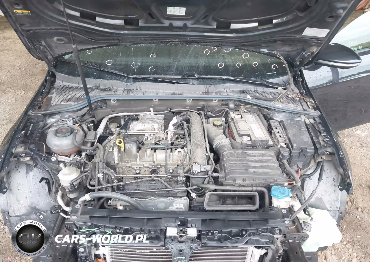2020 Volkswagen Golf 1.4T Tsi VIN:3VWG57AU7LM011036 - 10