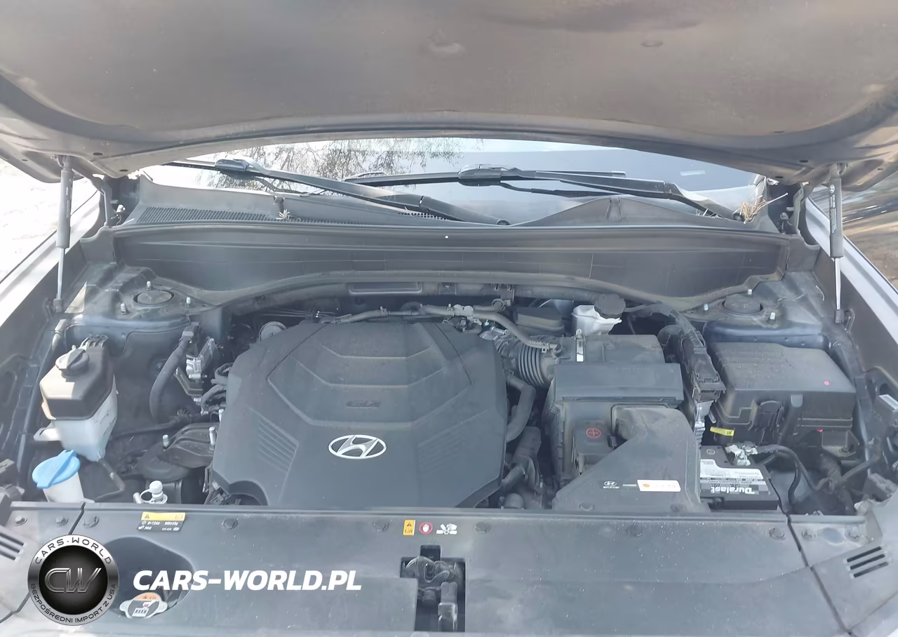 2020 Hyundai Palisade Sel VIN:KM8R44HE4LU171071 - 10