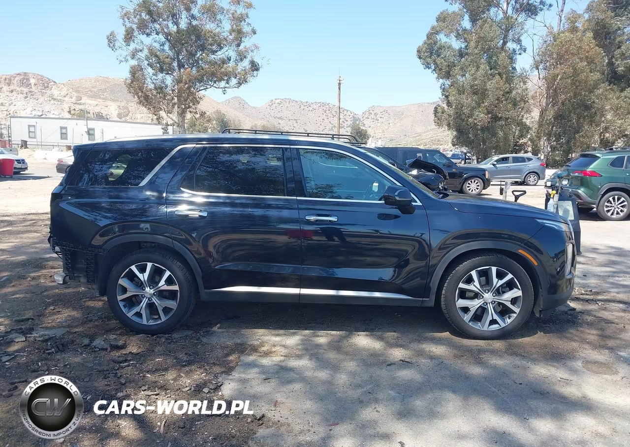 2020 Hyundai Palisade Sel VIN:KM8R44HE4LU171071 - 14
