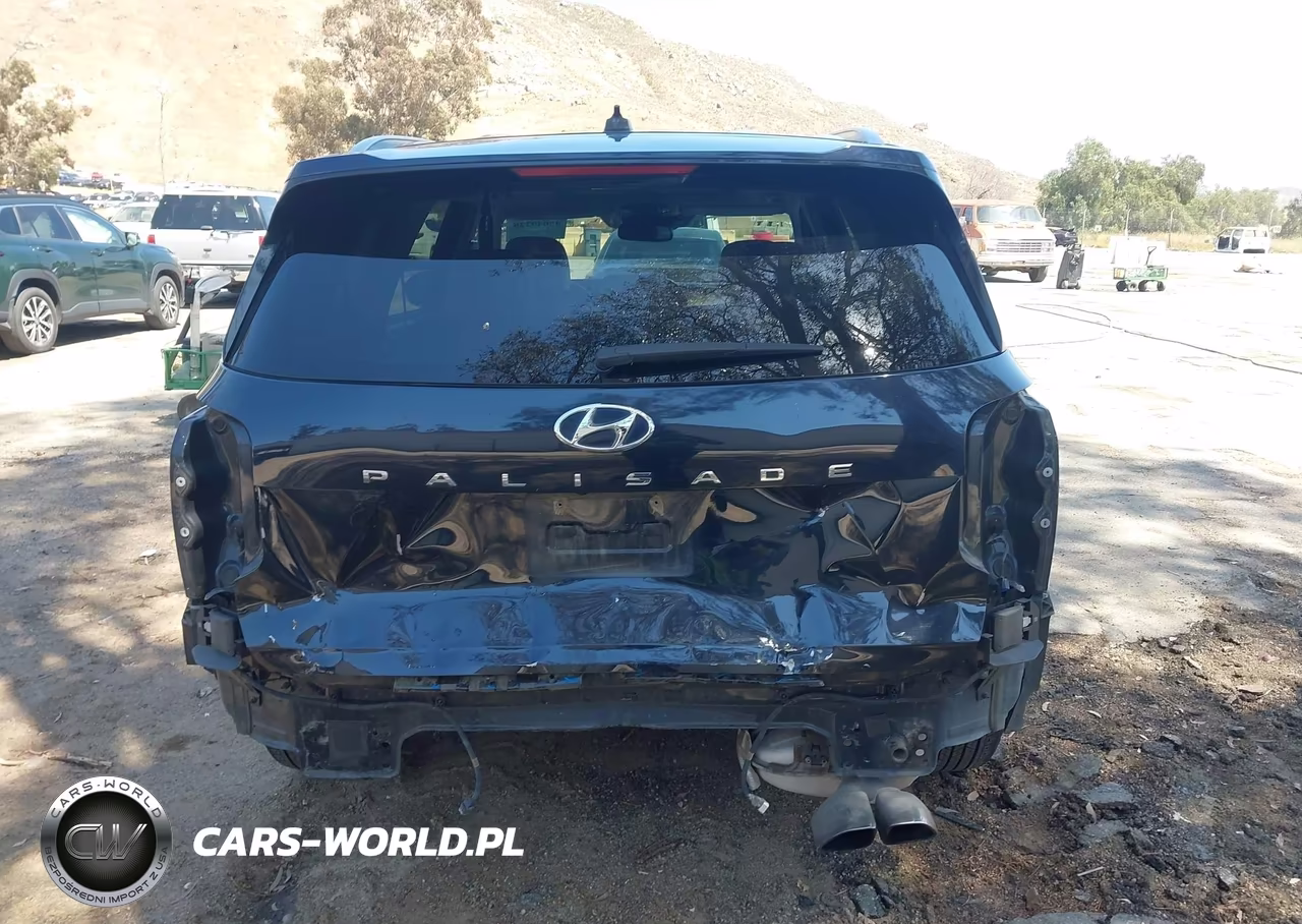 2020 Hyundai Palisade Sel VIN:KM8R44HE4LU171071 - 17