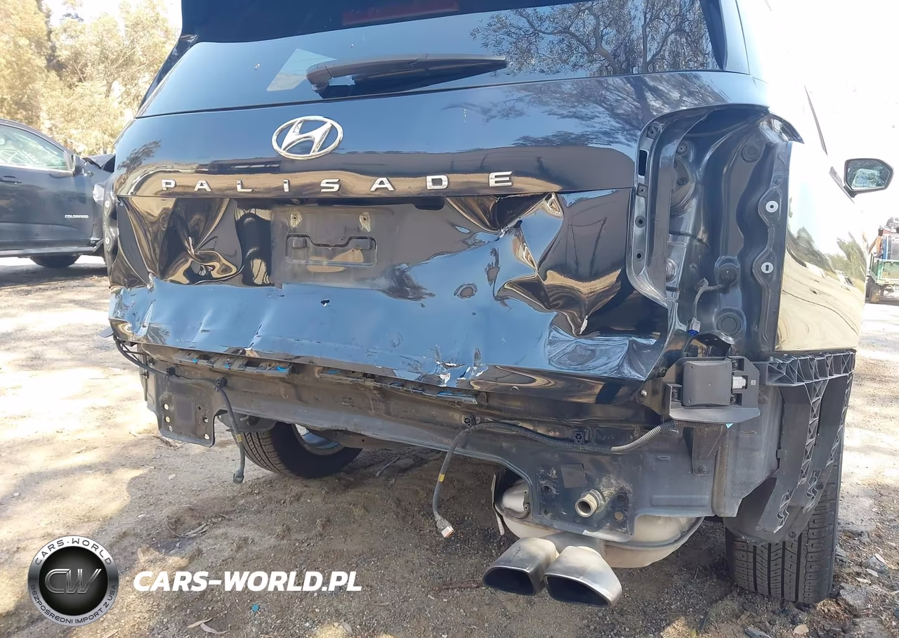 2020 Hyundai Palisade Sel VIN:KM8R44HE4LU171071 - 18