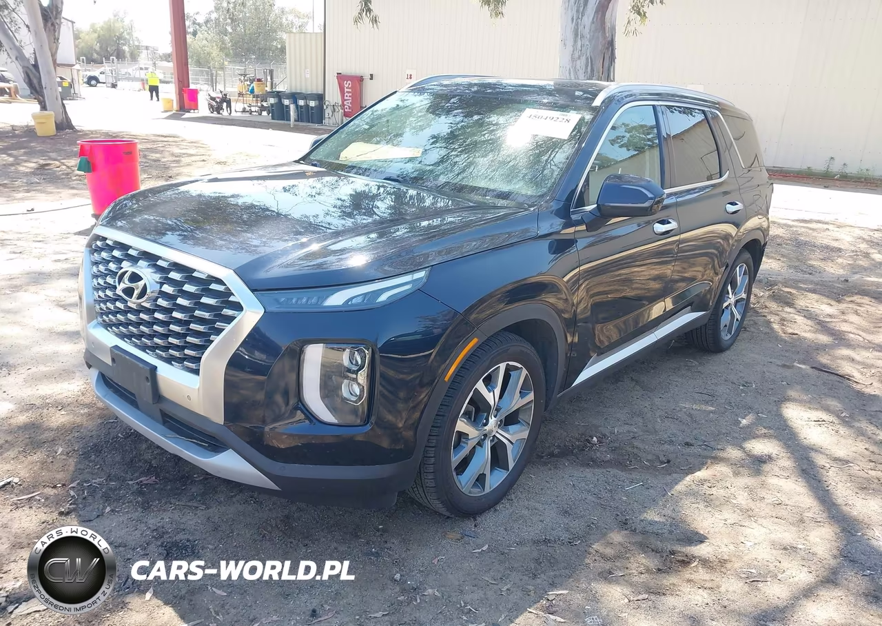 2020 Hyundai Palisade Sel VIN:KM8R44HE4LU171071 - 2