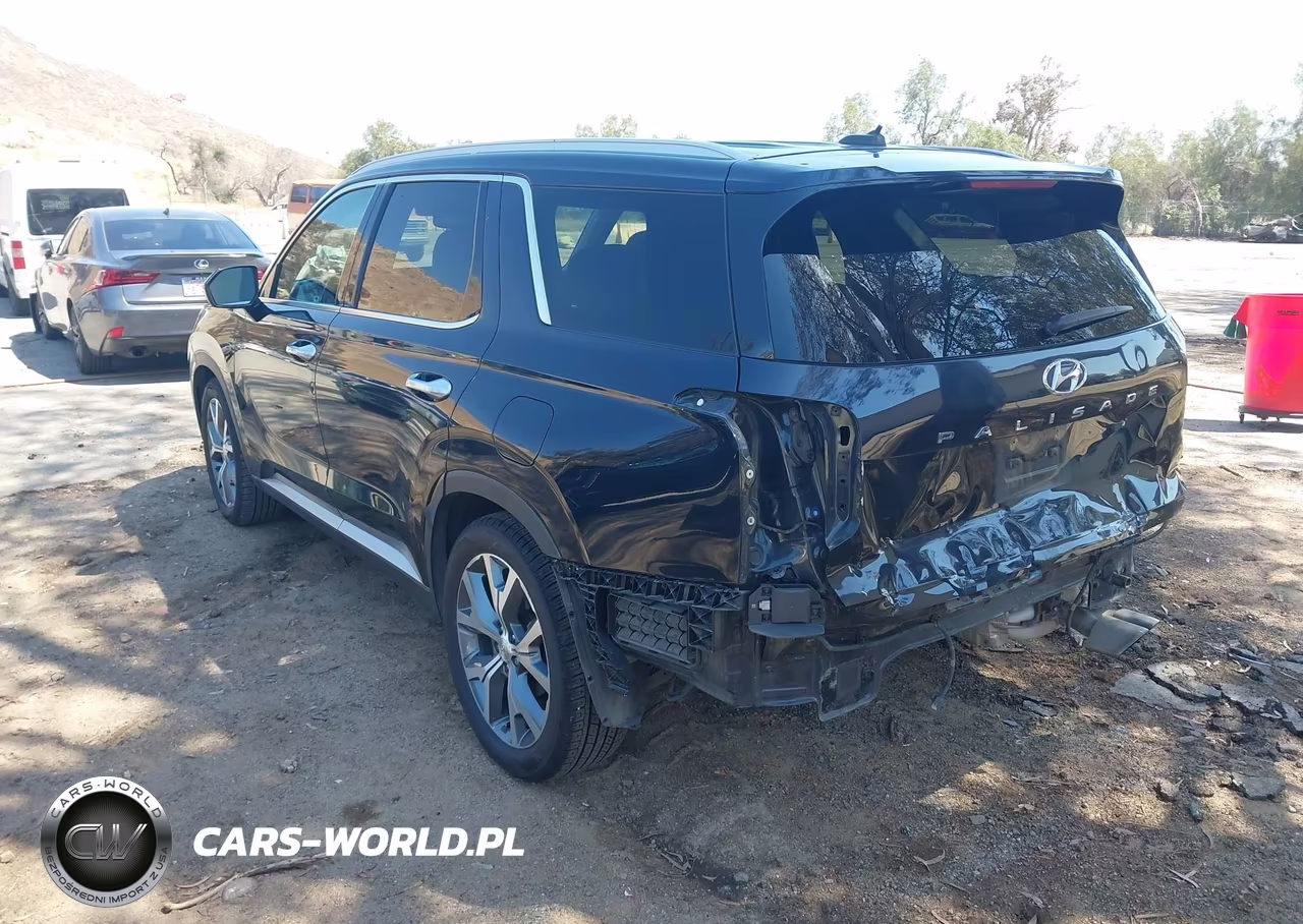 2020 Hyundai Palisade Sel VIN:KM8R44HE4LU171071 - 3