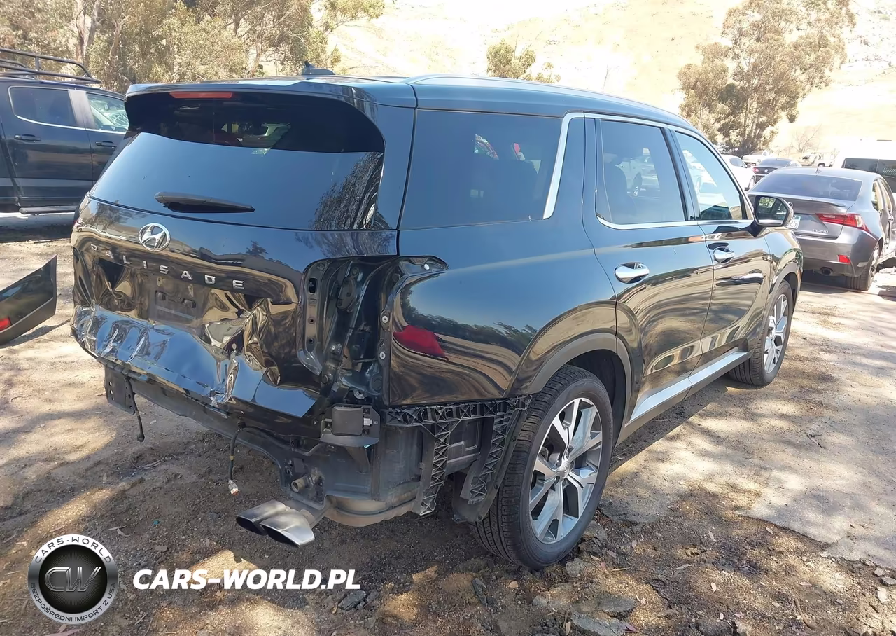 2020 Hyundai Palisade Sel VIN:KM8R44HE4LU171071 - 4