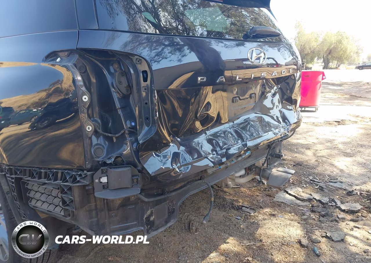 2020 Hyundai Palisade Sel VIN:KM8R44HE4LU171071 - 6
