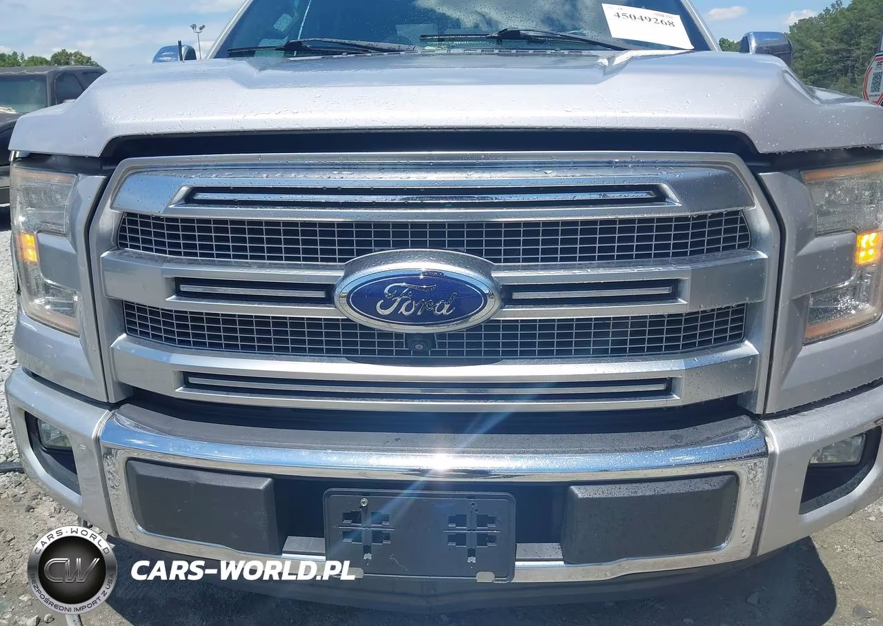 2015 Ford F-150 Platinum VIN:1FTEW1CG1FFB20026 - 12