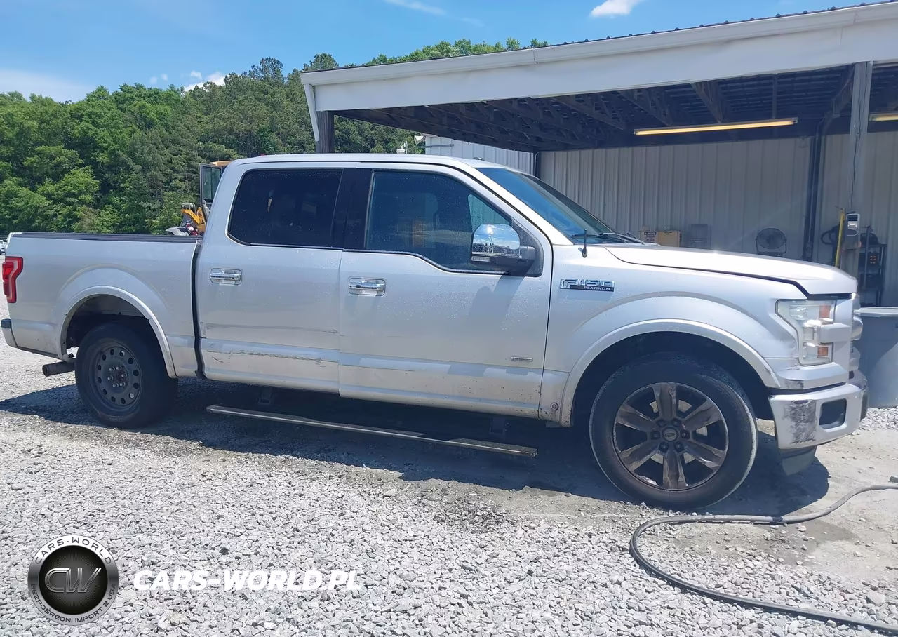 2015 Ford F-150 Platinum VIN:1FTEW1CG1FFB20026 - 13