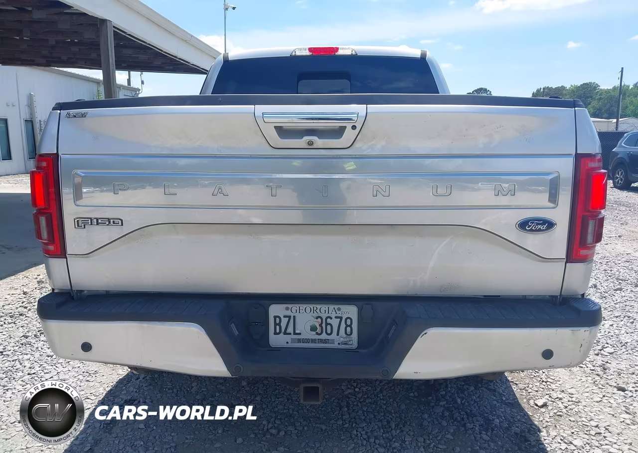2015 Ford F-150 Platinum VIN:1FTEW1CG1FFB20026 - 16