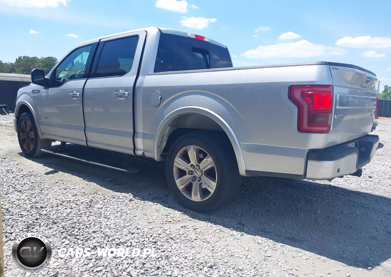 2015 Ford F-150 Platinum VIN:1FTEW1CG1FFB20026 - 3