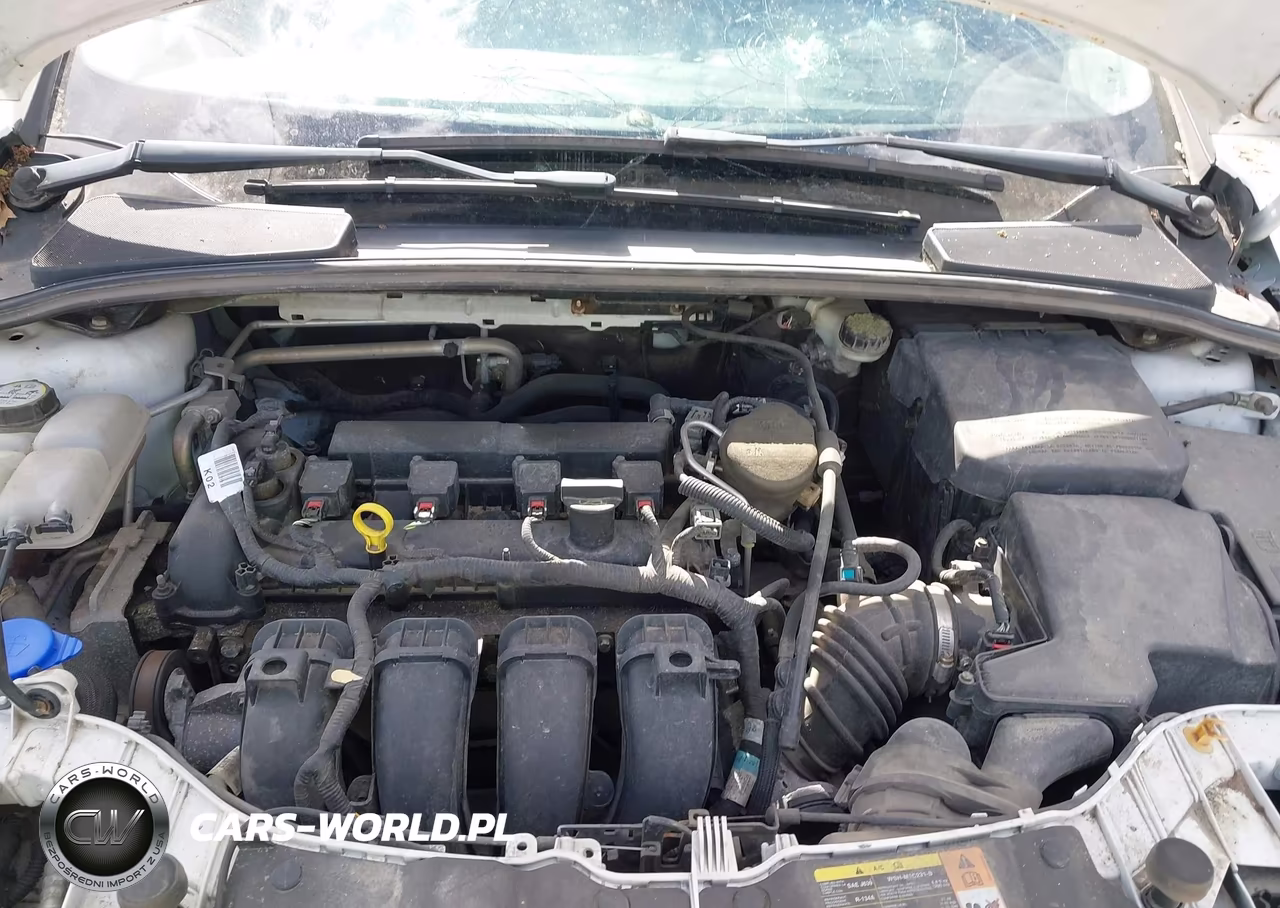 2013 Ford Focus Se VIN:1FADP3K29DL234838 - 10