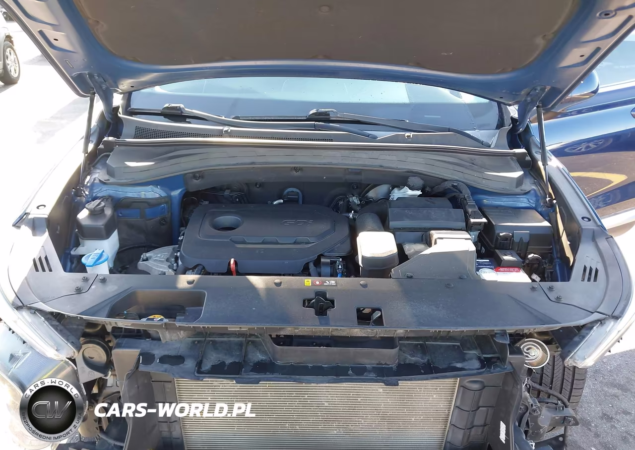 2020 Hyundai Santa Fe Se VIN:5NMS23AD9LH226144 - 10