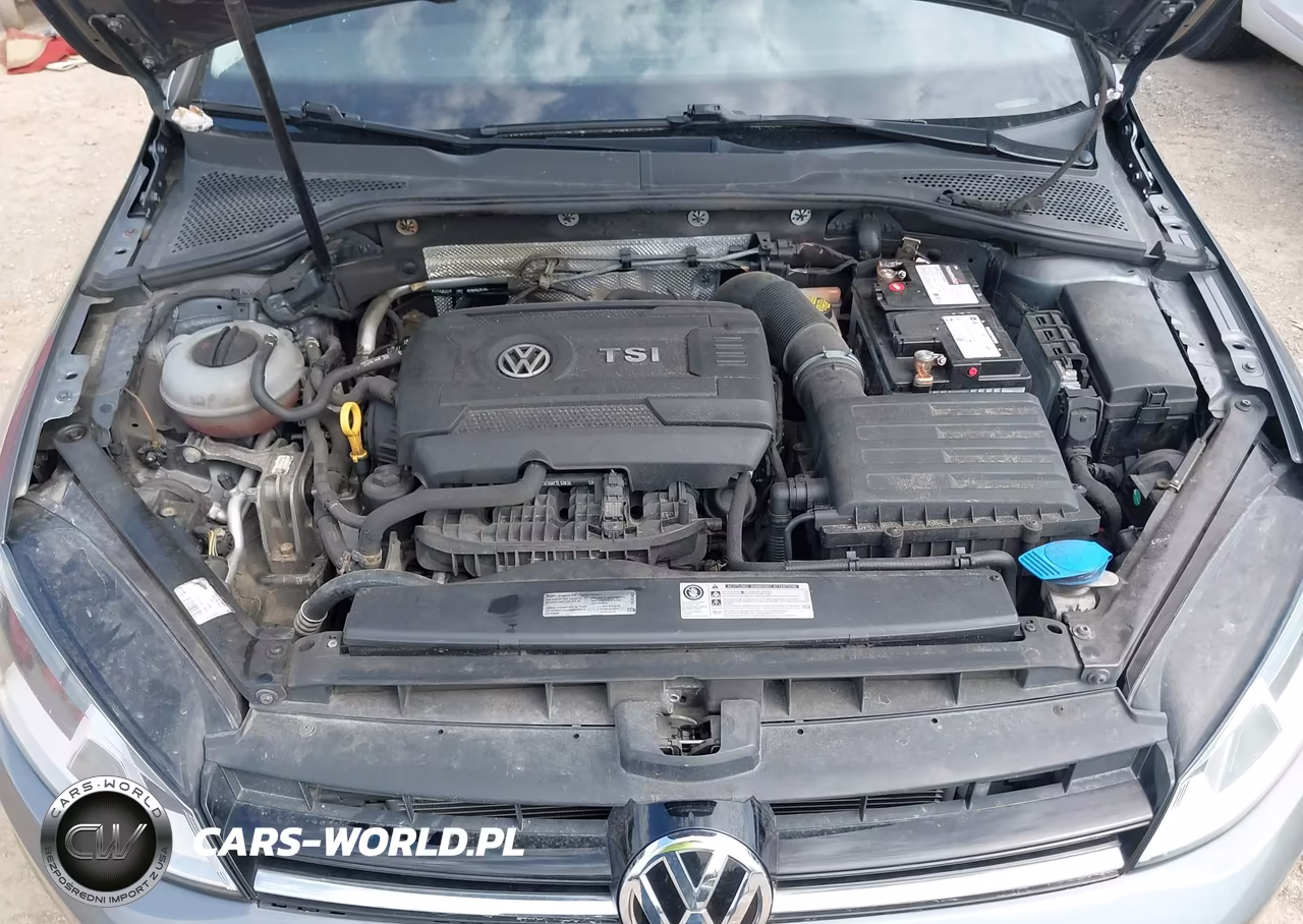 2016 Volkswagen Golf Tsi S 4-Door VIN:3VW217AU3GM055451 - 10