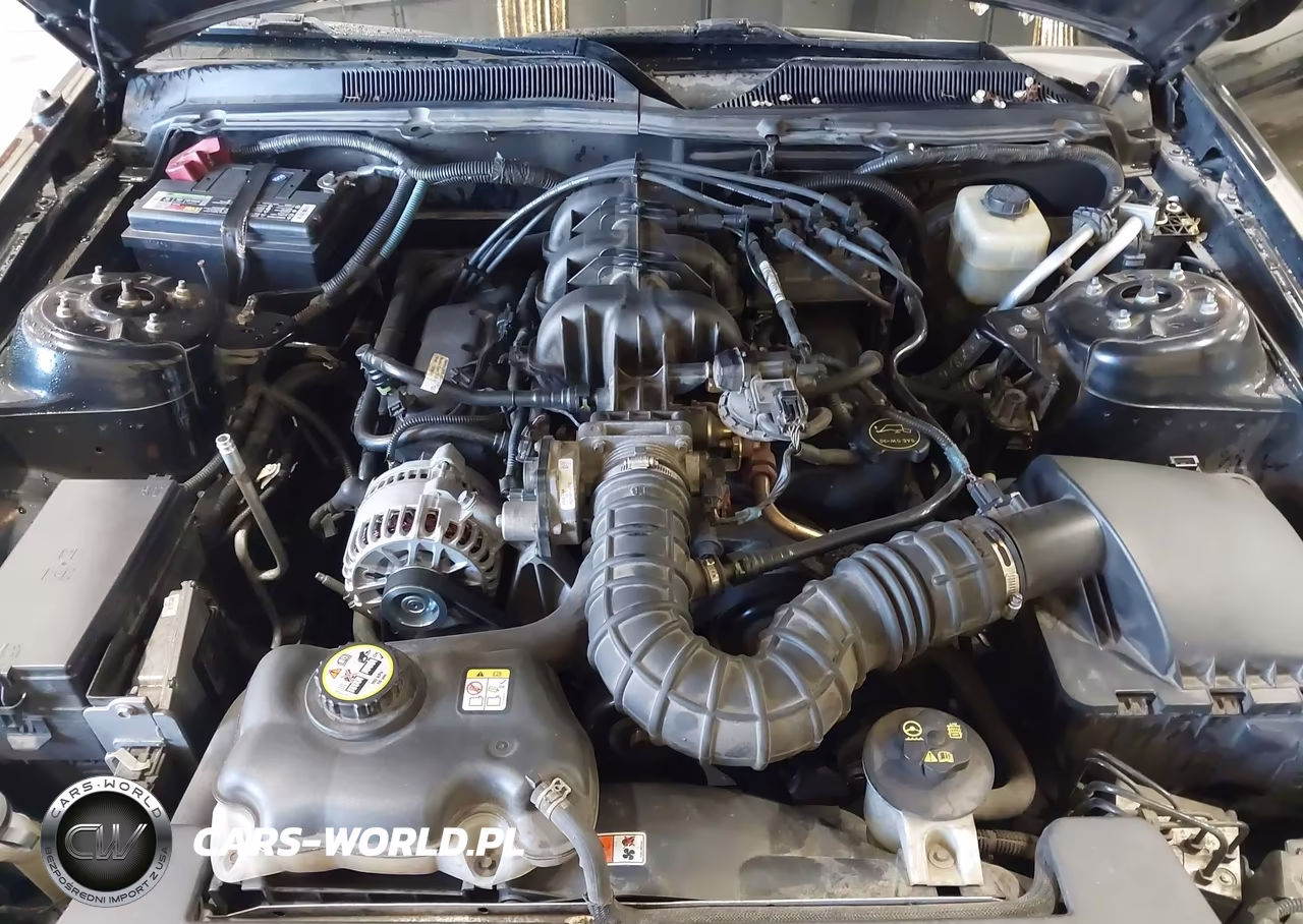 2006 Ford Mustang V6 VIN:1ZVFT84NX65219174 - 10