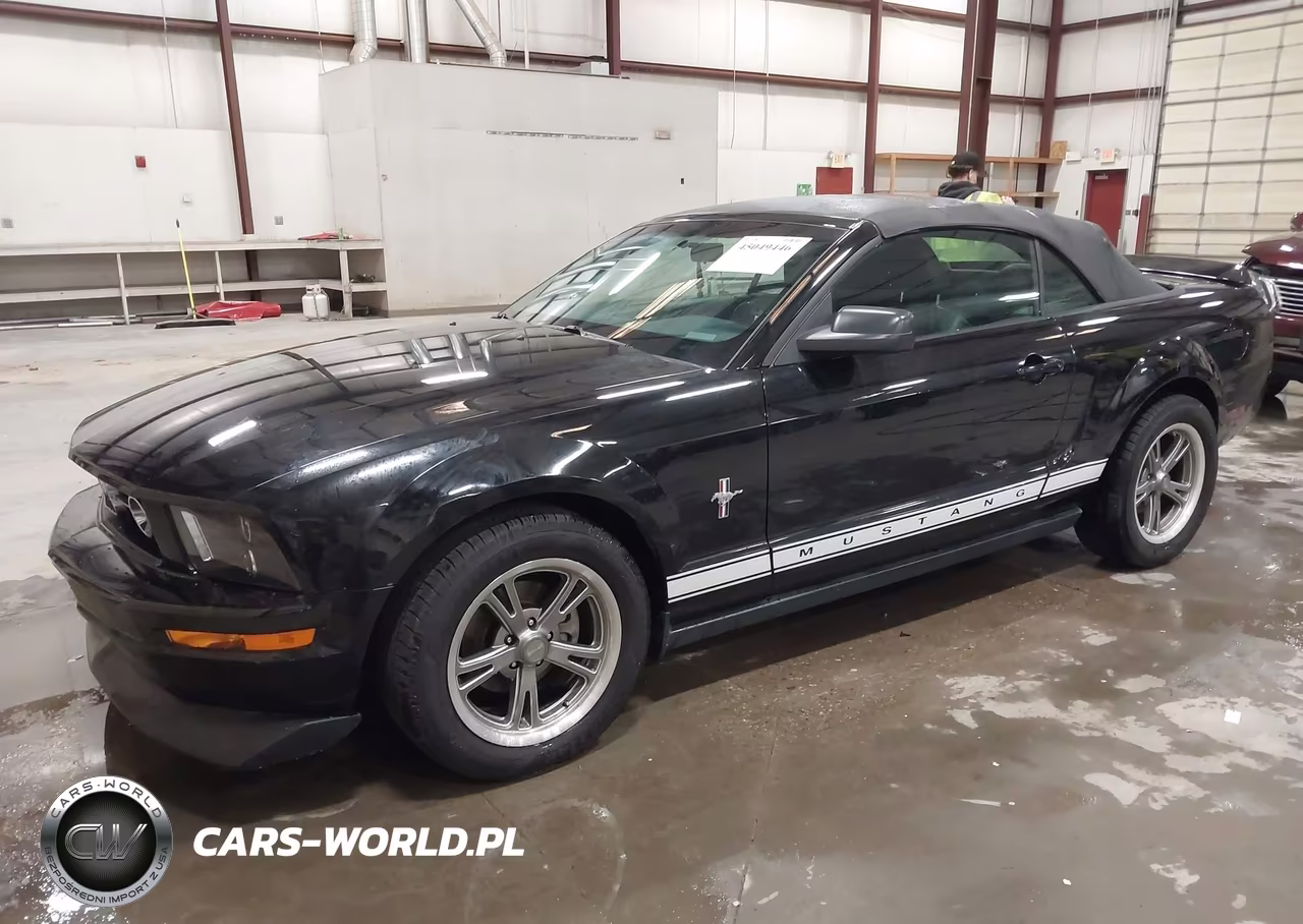 2006 Ford Mustang V6 VIN:1ZVFT84NX65219174 - 2