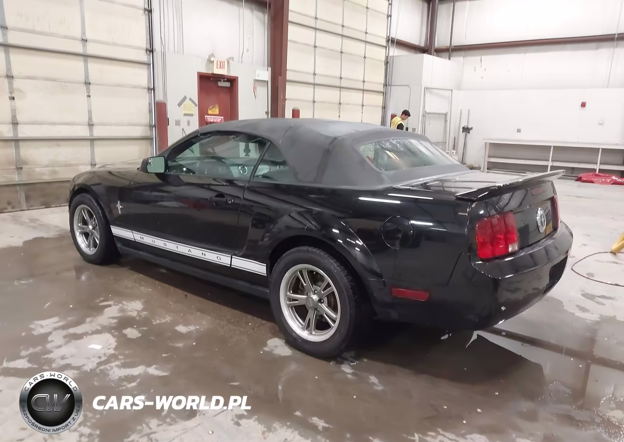 2006 Ford Mustang V6 VIN:1ZVFT84NX65219174 - 3
