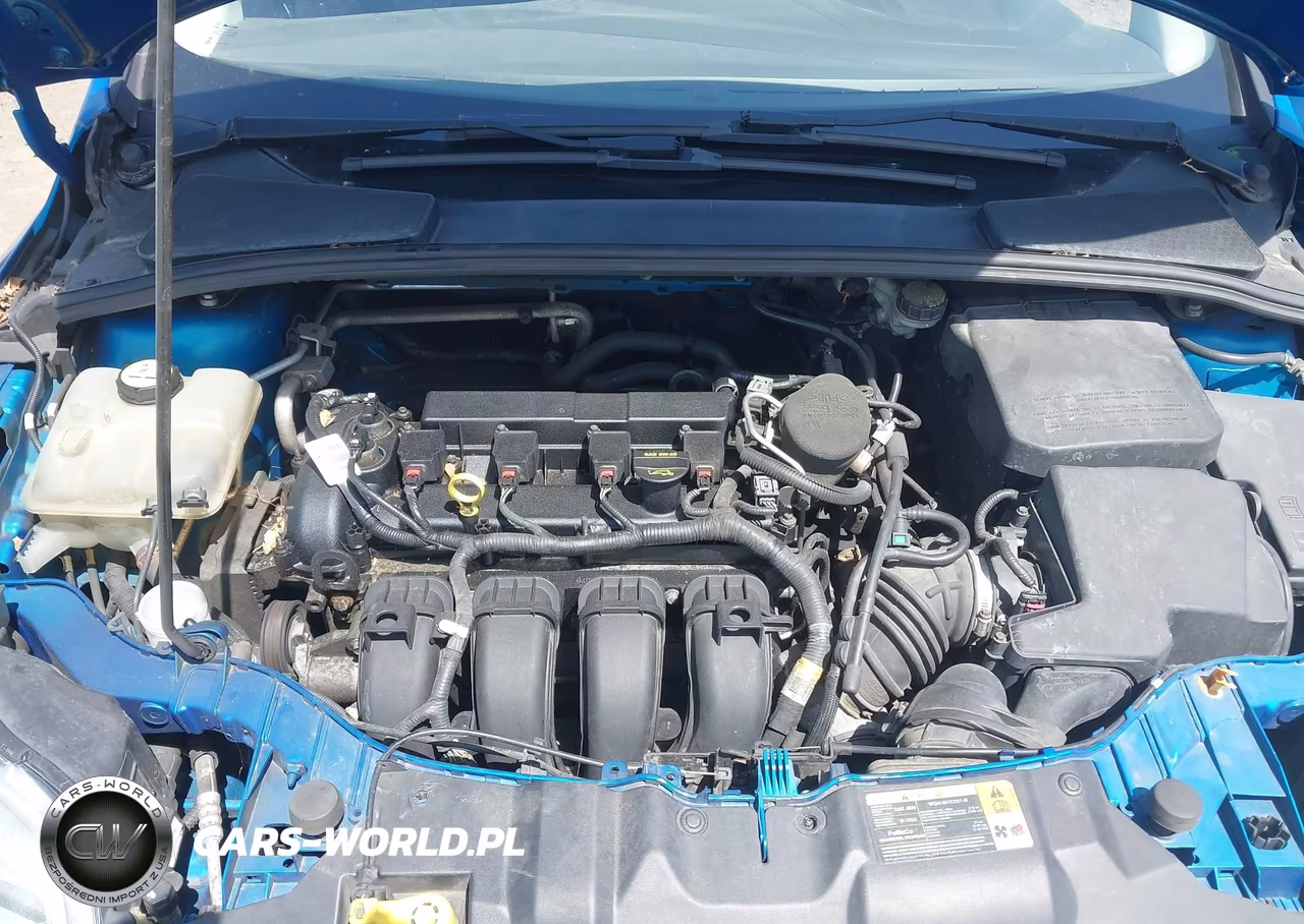 2013 Ford Focus Se VIN:1FADP3K23DL112833 - 10