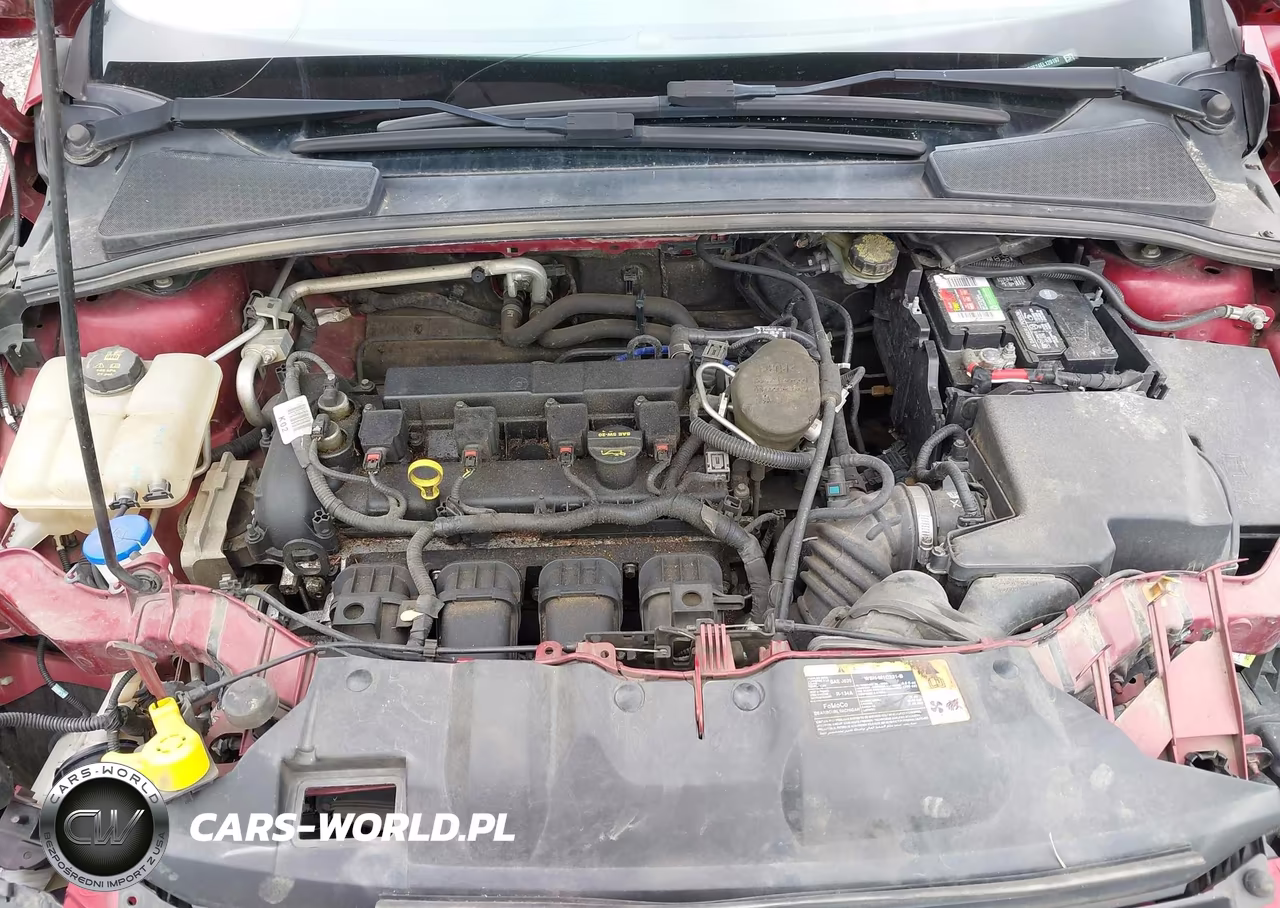 2014 Ford Focus Se VIN:1FADP3F24EL129197 - 10