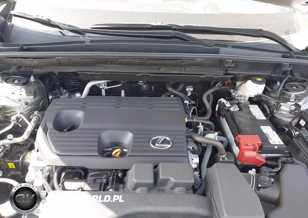 2025 Lexus Nx 250 Premium VIN:2T2GDCAZ2SC025018 - 10