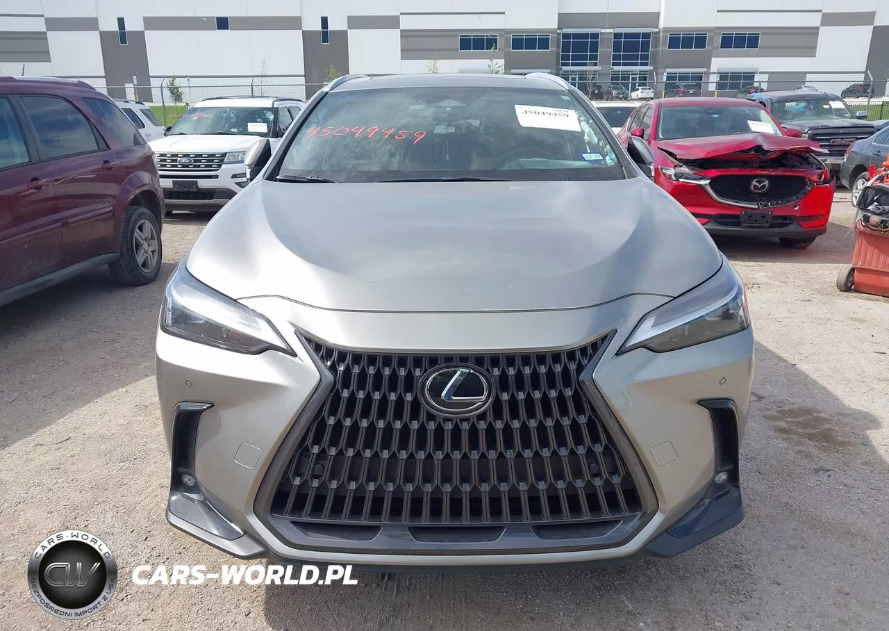 2025 Lexus Nx 250 Premium VIN:2T2GDCAZ2SC025018 - 12