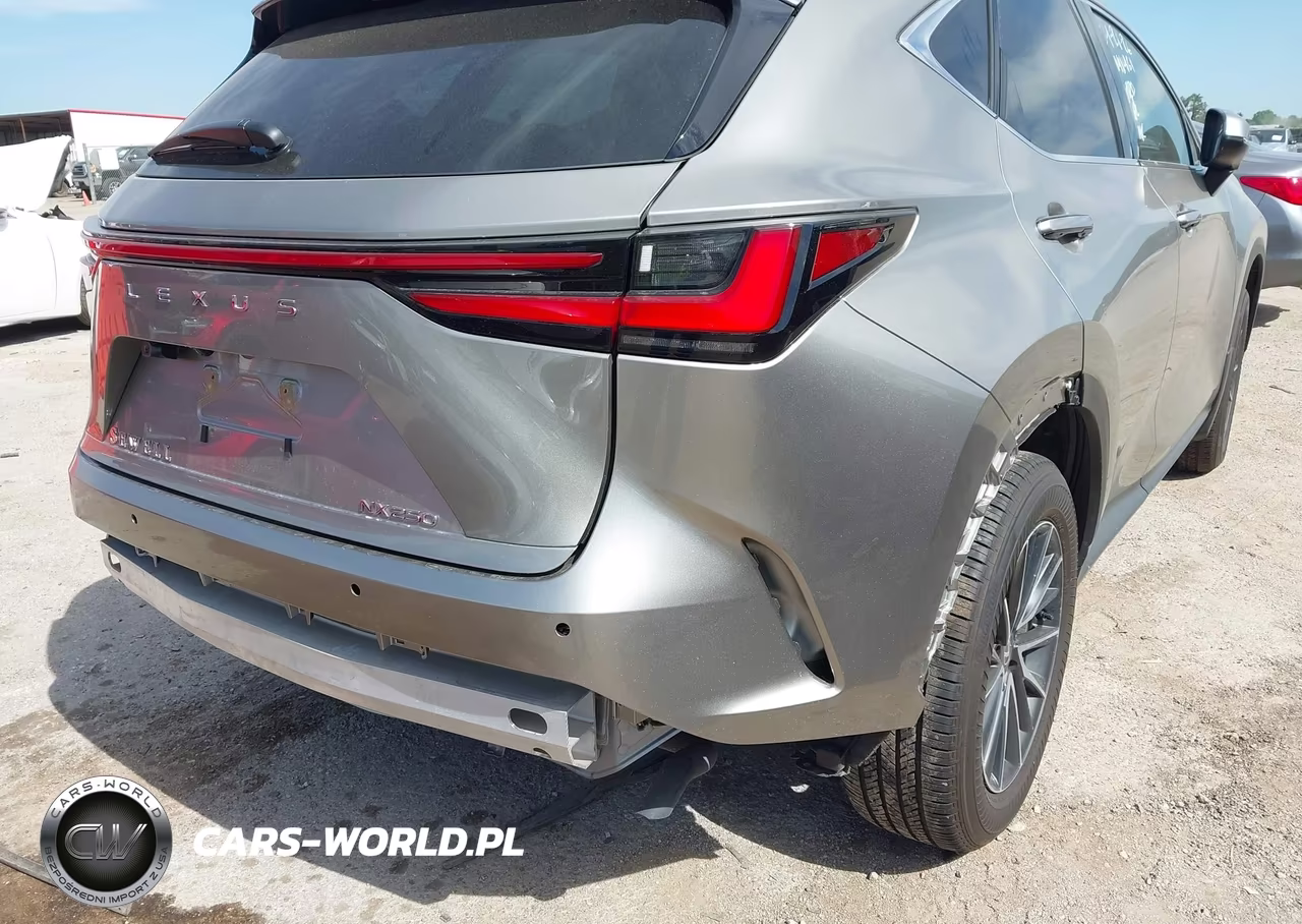 2025 Lexus Nx 250 Premium VIN:2T2GDCAZ2SC025018 - 17